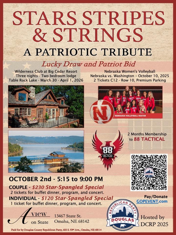 Stars, Stripes & Strings Poster